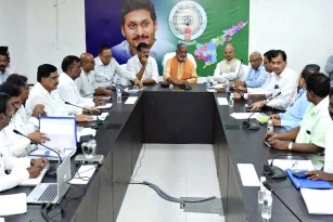 Andhra Pradesh electricity employees withdraw strike
