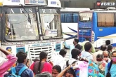 APSRTC Sankranthi buses breaking, APSRTC Sankranthi buses, apsrtc to run 6 795 special bus services for sankranthi, Bus services