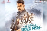Mahesh Babu, Operation Gold Fish movie, mahesh babu releases aadi s operation gold fish teaser, Fish