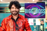 Bigg Boss Telugu 7 breaking news, Bigg Boss Telugu 7 updates, top actors on board for bigg boss telugu 7, Bigg boss