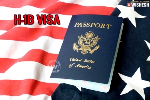 America Barred 13 companies from applying for Visa