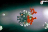 Scientists about coronavirus, Covid-19 antibodies breaking news, scientists discover antibody that can neutralize all variants of covid 19, Coronavirus