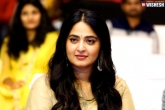 Anushka new movie, Anushka new movie, anushka signs a family entertainer, Tollywood news