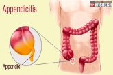 How to Treat Appendicitis, Disorders Care, appendicitis a digestive disorder, Disorders care