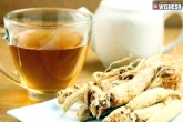 Ashwagandha tea news, Ashwagandha tea benefits, ashwagandha tea a great boost for your day, Tea benefits