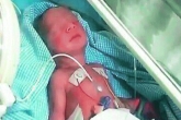 garbage bin, garbage bin, newborn baby wrapped in polythene found in a bin, Niloufer hospital