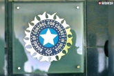 BCCI, IPL 2020 latest updates, bcci in plans to cancel ipl 2020, Elle