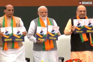 BJP Releases Manifesto &#039;Sankalp Patra&#039;