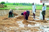 Telangana, KCR, bjp leaders visits telangana farmers, Nalgonda