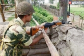 attack, death, bsf kills seven pak rangers along the ib, Bsf