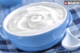 remedies, tips, benefits of yogurt, Lifestyle