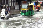 Bengaluru Rains breaking updates, Bengaluru Rains news, bengaluru flooded city on high alert, Karnataka