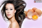 different types of egg masks, how to tighten skin, best skin treatments with egg, Skin treatment