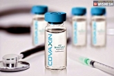 Bharat Biotech new updates, Covaxin, bharat biotech starts human trials for coronavirus vaccine, Pgi rohtak