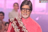 Amitabh Bachchan next film, Ranbir Kapoor, big b to feature in ranbir s dragon, Ranbir kapoor