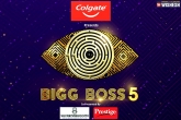 Star MAA, Bigg Boss 5 Telugu, highlights of bigg boss 5 curtain raiser episode, Star maa