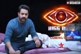 July 15, Bigg Boss Telugu, jr ntr s telugu reality show bigg boss gets a date, Bigg boss telugu