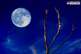 Lunar year, solar year, blue moon is not exactly blue, Lunar year