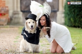 woman marries dog, Elizabeth Hoad updates, british woman marries her dog on a tv show, Logan