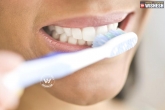 oral hygiene, dementia, brushing your teeth can protect you from dementia and heart disease, Brushing