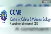 Centre for Cellular and Molecular Biology, CCMB projects, telangana to lose ccmb unit for andhra pradesh, Mole