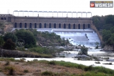 Cauvery, Tamil Nadu, karnataka govt says no to release cauvery water to tamil nadu, Cauvery