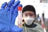 rapid antibody tests latest, Coronavirus, centre advises rapid antibody tests across the country, Rapid antibody tests
