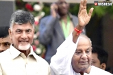 Chandra Babu Naidu updates, Karnataka elections, chandra babu to campaign for congress, Karnataka polls