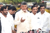 Chandra Babu Naidu, YSRCP, chandra babu responds on joining hands with trs, Joining hands