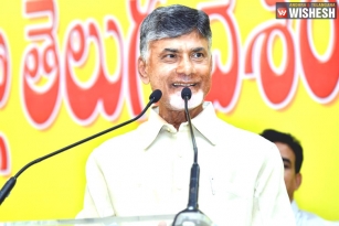 Chandra Babu Reviews 100 Days Rule of YS Jagan