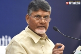 TRS, mla tickets, chandrababu naidu to pick out his candidates carefully, Carefull