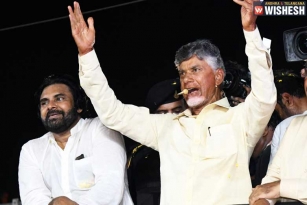 Chandrababu predicts big lose for YSRCP in Andhra Pradesh
