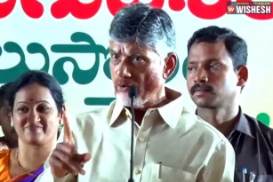 Chandrababu Slams The AP Government For Their Acts