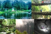 Tourist Attraction, Tourist Attraction, meghalaya s dew drop cherrapunjee, Tourist attraction