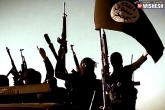 United Nations, Abu Bakr al Baghdadi's death, 11 christians brutally killed in nigeria by jihadists, Jihadis