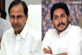 Congress updates, Congress next, congress wants trs and ysrcp s support, General elections