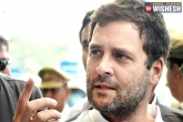 Rahul Gandhi news, Congress updates, congress fought anger with dignity says rahul gandhi, Gujarat cm