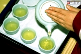 Green tea latest, Green tea news, consuming green tea can do wonders, Lifestyle