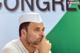 Rahul Gandhi shocked, Narendra Modi, supreme court issues contempt notice to rahul gandhi, Rafale judgement