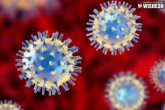 Soumitra Das about coronavirus variants, Coronavirus triple variant, coronavirus double and triple mutants are the same study, Soumitra das