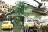 Cyclone Amphan latest, Cyclone Amphan news, cyclone amphan kills 72 in west bengal, West bengal
