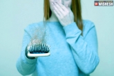 hair loss, DIY for hair loss news, the best diy to prevent dandruff and hair loss, Hair loss