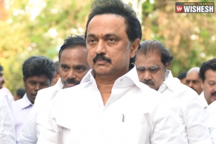 DMK Working President Arrested; TN Shuts Down In Support Of Farmers