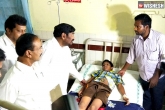 Hyderabad dengue news, Hyderabad dengue deaths, dengue threat for hyderabad health emergency announced, Hyderabad dengue