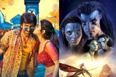 Dhamaka and Avatar 2 latest, Dhamaka and Avatar 2 collections, sensational sunday for dhamaka and avatar 2, Sunday