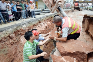 Dinosaur eggs found