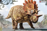 Dinosaur, Extinct, dinosaurs not extinct here is the proof, Weird facts