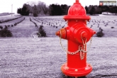 Weird facts, Weird facts, do you know who invented fire hydrant, Unbelievable facts