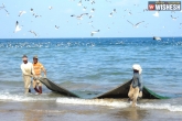 Arrested, Arrested, eight tn fisherman arrested by sri lankan navy, Fisherman