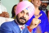 Navjot Singh Sidhu, punjab minister Navjot Singh Sidhu, election commission issues notice to congress leader navjot singh sidhu over objectionable comments against pm modi, Ap election commission
